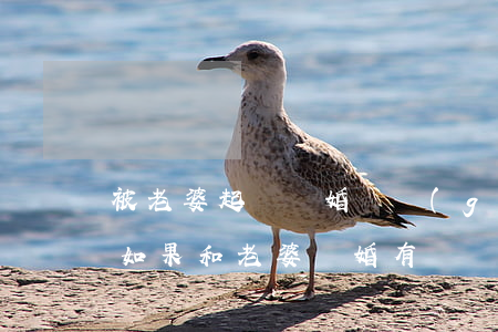 被老婆起訴離婚兩個(gè)小孩怎么挽救(如果和老婆離婚,有兩個(gè)孩子!法院會(huì)怎么判)