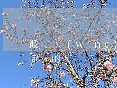 被蘇寧網(wǎng)貸起訴(有被蘇寧金融起訴的嗎)