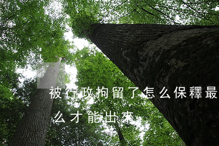 被行政拘留了怎么保釋最快(被行政拘留了怎么才能出來)