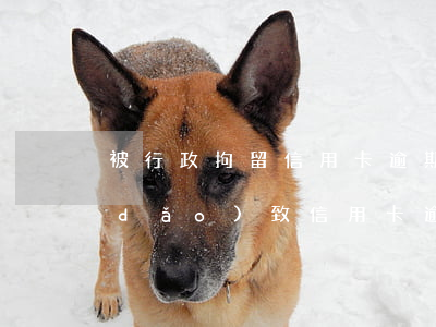 被行政拘留信用卡逾期怎么辦理(因拘留導(dǎo)致信用卡逾期)