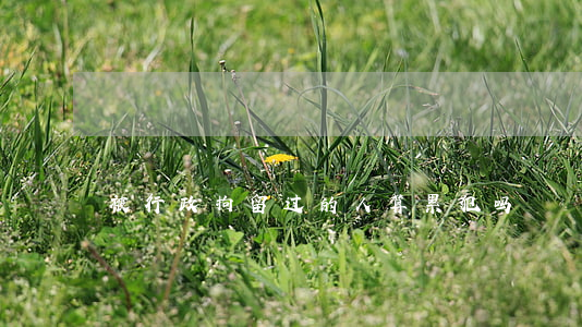被行政拘留过的人算累犯吗