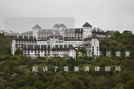 被被人起诉欠钱不还需要请律师吗-欠钱被起诉了需要请律师吗