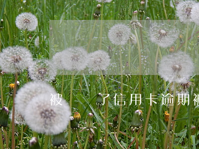 被詐騙了信用卡逾期(被詐騙了信用卡逾期)