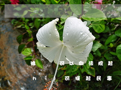 被詐騙可以向法院起訴嗎(被詐騙后何時(shí)可提起民事訴訟)