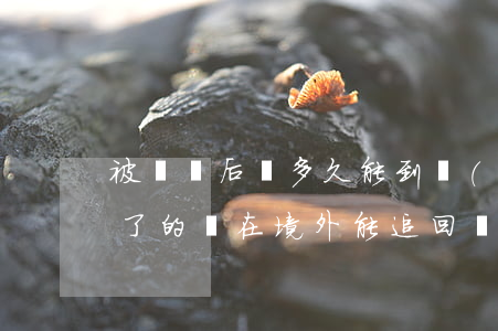 被詐騙后錢多久能到國(guó)外(被詐騙了的錢在境外能追回嗎)