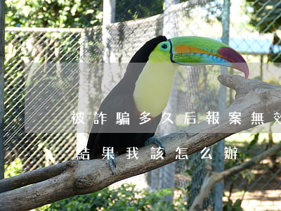 被詐騙多久后報案無效(被詐騙了報案了沒有結果我該怎么辦)