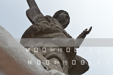 被詐騙如何維護(hù)權(quán)益(被詐騙如何維護(hù)權(quán)益)