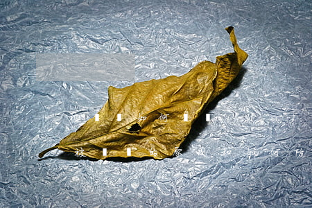 被詐騙如何維護(hù)權(quán)益(被詐騙的原因和如何防范)