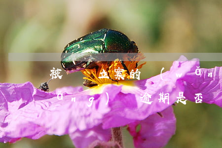 被詐騙立案的網(wǎng)貸逾期(網(wǎng)貸逾期是否構成金融詐騙)
