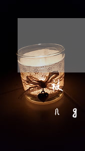 被詐騙網(wǎng)貸欠20萬(網(wǎng)貸被騙20萬怎么辦)