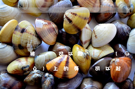 被謾罵可以起訴嗎(網(wǎng)絡(luò)上的辱罵可以起訴嗎)
