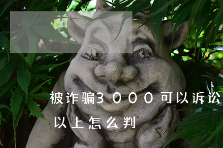 被诈骗3000可以诉讼吗(诈骗3000元以上怎么判)