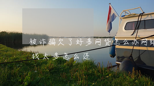 被诈骗欠了好多网贷怎么办(网络诈骗网贷欠钱太多怎么还)