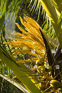 被诈骗的钱归还后怎么写谅解书(诈骗罪还钱并写谅解书怎么判)