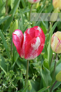 被诉讼保全可以出境吗(起诉后还能申请财产保全吗)