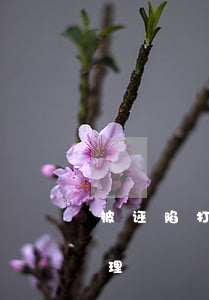 被诬陷打人拘留怎么办(被诬陷打人了怎么处理)