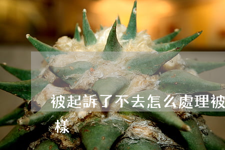 被起訴了不去怎么處理(被起訴了不去會怎么樣)