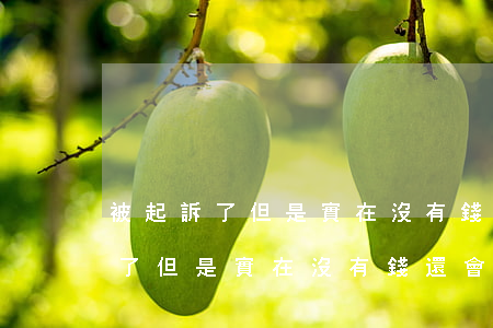 被起訴了但是實在沒有錢還怎么辦-被起訴了但是實在沒有錢還會坐牢嗎