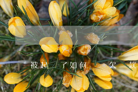 被起訴了如何應訴(欠貨款被起訴了如何應訴)