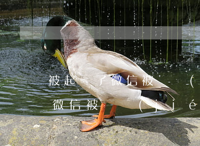被起訴了微信被凍結(jié)了 被起訴了微信被凍結(jié)了一次,下次還會凍結(jié)嗎