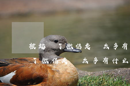 被起訴了微信走賬太多有什么影響-被起訴了微信走賬太多有什么影響嗎