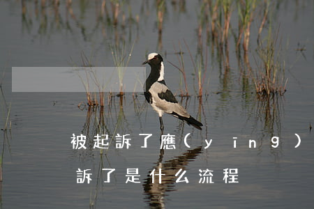 被起訴了應(yīng)該怎么辦(如果被起訴了是什么流程)