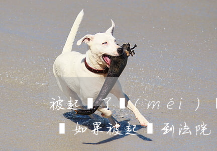 被起訴了沒(méi)錢還會(huì)怎樣(如果被起訴到法院還是沒(méi)有錢還怎么辦)