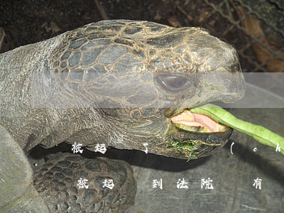 被起訴了沒財產(chǎn)后果會怎么樣(被起訴到法院沒有錢還有什么后果)