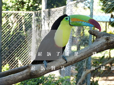被起訴了還是沒錢還會(huì)判刑嗎(被起訴到法院沒有錢還有什么后果)