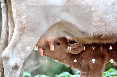 被起訴了還能協(xié)調(diào)嗎(協(xié)商處理完后悔了還能起訴嗎)