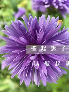 被起訴了還能協(xié)調(diào)嗎(被起訴了還能協(xié)調(diào)嗎)