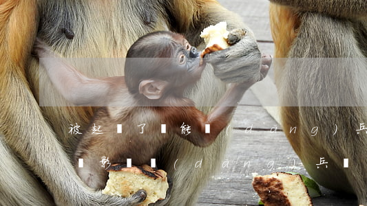 被起訴了還能當(dāng)兵嗎(被民事訴訟影響當(dāng)兵嗎)