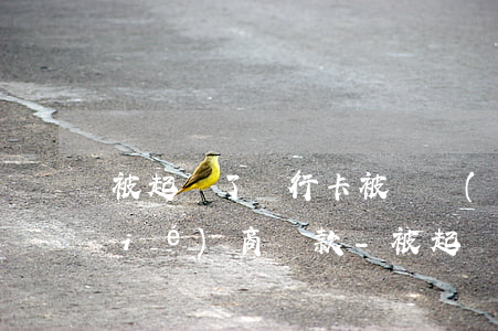 被起訴了銀行卡被凍結(jié),能協(xié)商還款?-被起訴了銀行卡被凍結(jié),能協(xié)商還款嗎