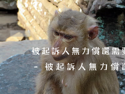 被起訴人無力償還需要整理證據(jù)嗎-被起訴人無力償還需要整理證據(jù)嗎法院