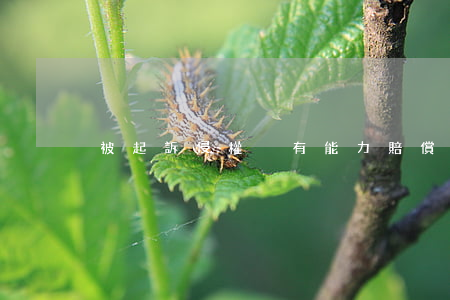 被起訴侵權沒有能力賠償會怎么辦