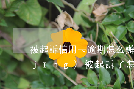 被起訴信用卡逾期怎么辦(信用卡逾期已經(jīng)被起訴了怎么辦)