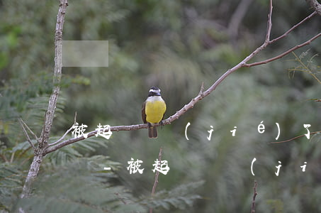 被起訴凍結(jié)了一張卡微信能收錢嗎-被起訴凍結(jié)了一張卡微信能收錢嗎安全嗎