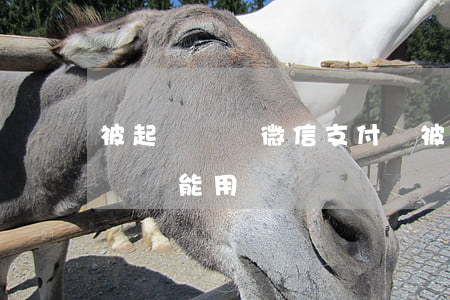 被起訴凍結微信支付寶(被起訴凍結微信支付寶還能用嗎)