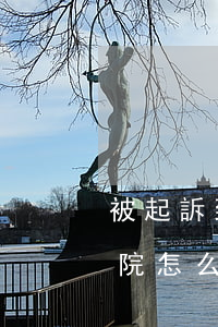 被起訴到法院可以不去嗎(被起訴沒時間去法院怎么辦)