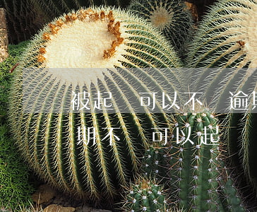 被起訴可以不還逾期費(fèi)么(欠錢逾期不還可以起訴嗎)