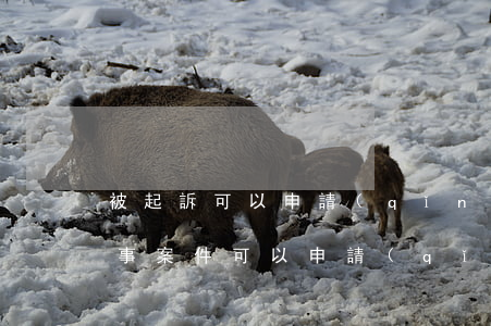 被起訴可以申請(qǐng)法律援助嗎(民事案件可以申請(qǐng)法律援助嗎)
