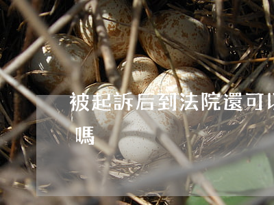 被起訴后到法院還可以協(xié)商還款嗎
