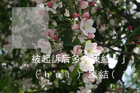 被起訴后多久凍結(jié)微信 被起訴會(huì)凍結(jié)微信