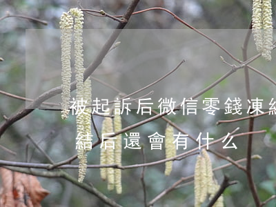 被起訴后微信零錢凍結(被起訴后微信零錢凍結后還會有什么)