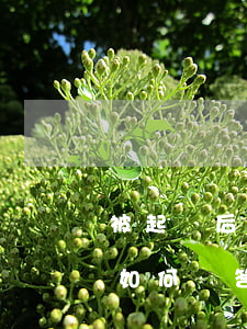 被起訴后答辯狀怎么寫(對(duì)方上訴如何寫答辯狀)