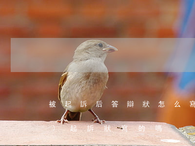 被起訴后答辯狀怎么寫(答辯狀是根據(jù)起訴狀寫的嗎)