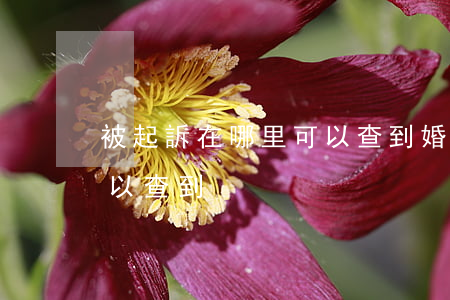 被起訴在哪里可以查到(婚姻被起訴在哪里可以查到)
