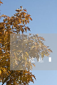 被起訴多久上征信（在征信逾期多久被起訴）