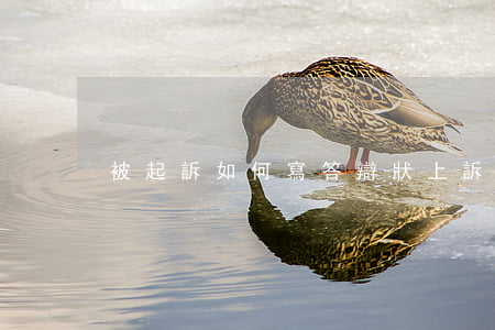 被起訴如何寫答辯狀(上訴狀的答辯狀怎么寫)