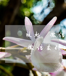 被起訴微信支付功能被限制怎么辦-被起訴微信支付功能被限制怎么辦呢